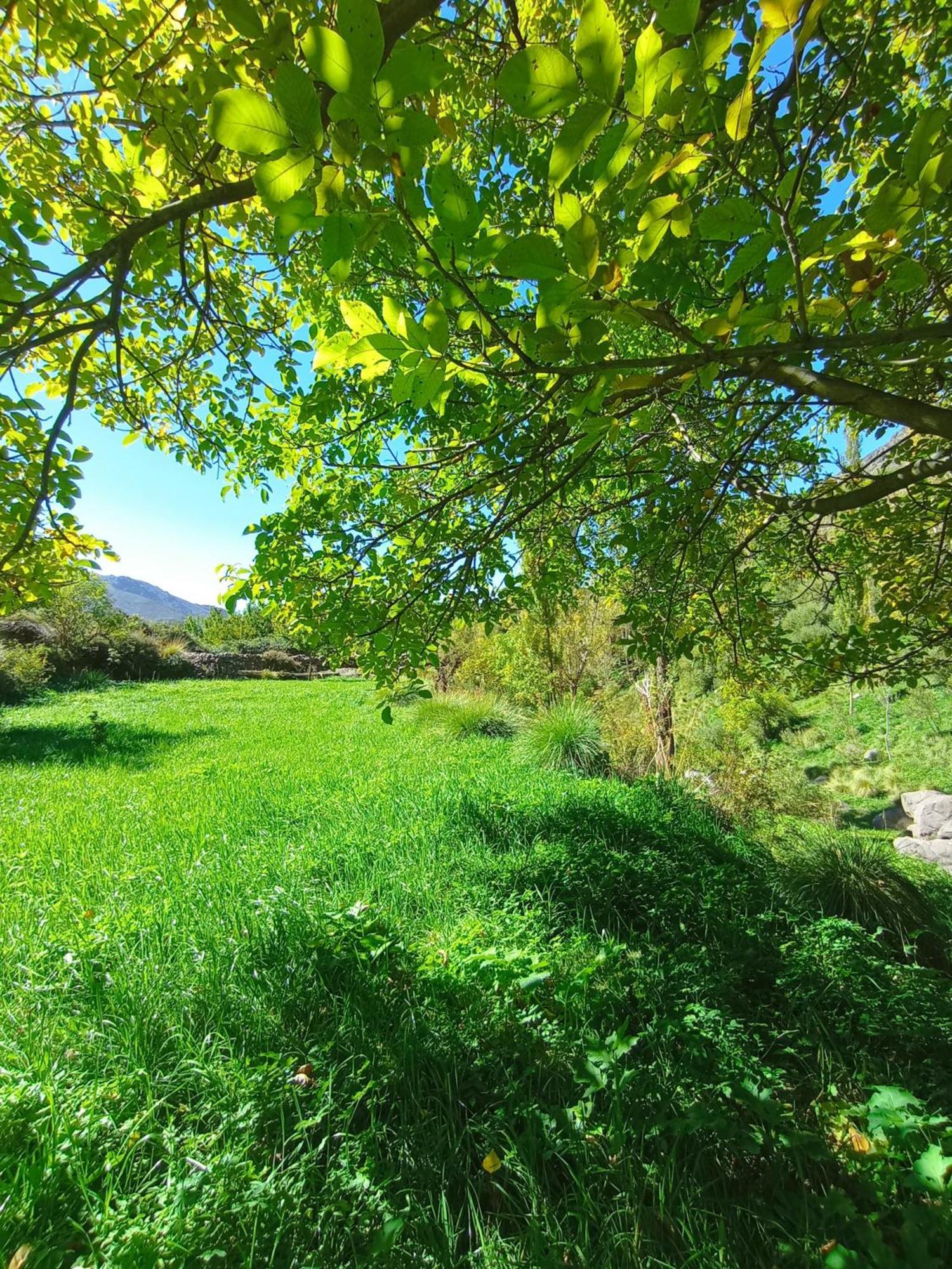 Gite Ogog Tacheddirt Buitenkant foto